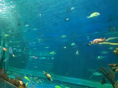 -大明湖海底世界