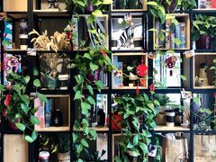 -ZING COFFEE 镜咖啡