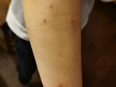 -杭州香格里拉饭店