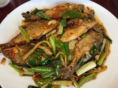 -生态苑农庄(十里画廊遇龙河店)