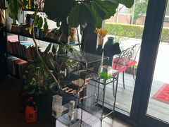 -ITA·意塔意大利餐厅(亦庄店)