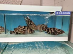 -盒马X会员店(王府井奥莱UP TOWN店)