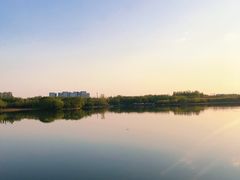 -大兴滨河森林公园