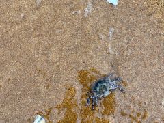 -威海国际海水浴场旅游区