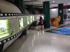 -上海昆虫博物馆