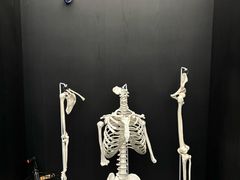 -TOP健身私教工作室(侨香店)