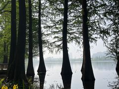 -莫愁湖公园