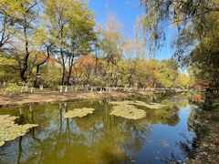 -长白岛森林公园