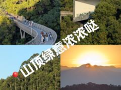 -福道