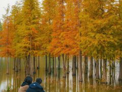 -白鹭湾湿地公园