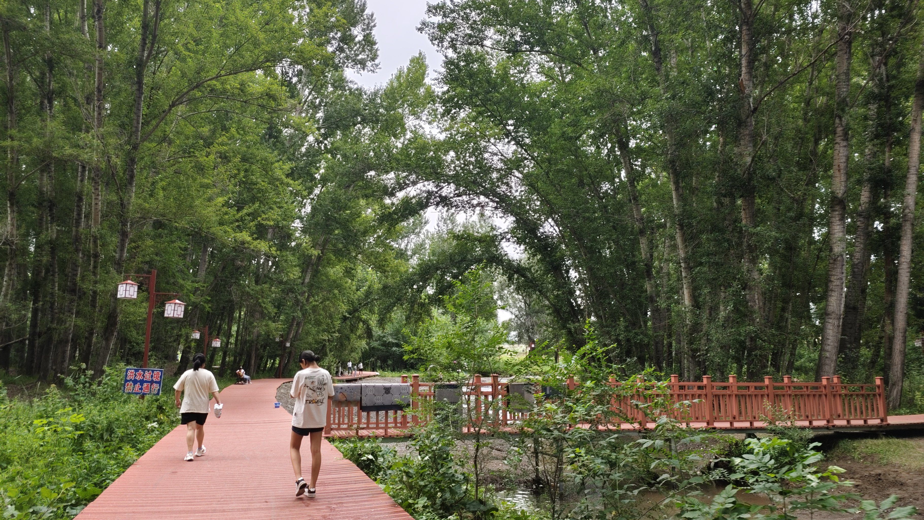 快活林
一片大众点评搜不到的地方