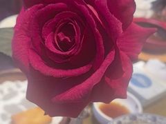 -妈妈菜舟山海鲜(定海古城店)