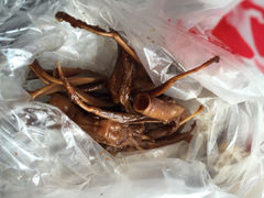 老天禄卤味专卖店-上海老天禄