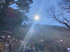 -黄龙山原始森林景区