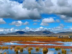 -花湖生态旅游区