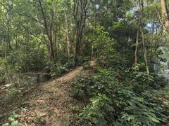 -火炉山森林公园