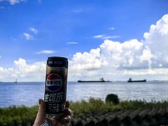 -上海滨江森林公园