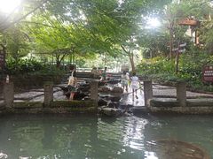 -成都市活水公园