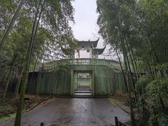 -天下银坑