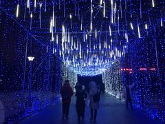 -长春公园(普阳街道)