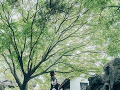 -惠山古镇·寄畅园