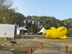 -同里国家湿地公园