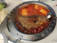 -伊犇牛清真牛肉火锅(宽窄巷子店)