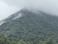 -天龙顶山地公园