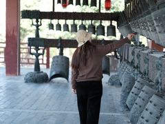 -武汉园博园(武汉自然博物馆)