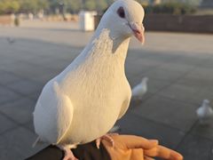 -灵山胜境