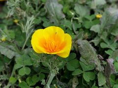 -白鹭湾湿地公园