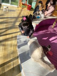 -萌宠亲子动物乐园(槐房万达店)