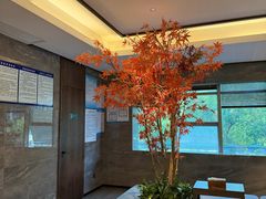 -三谷里·生态水疗空间(五一店)
