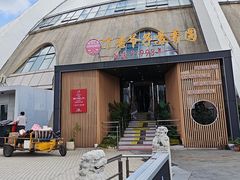 -丁老爷子苏香圆