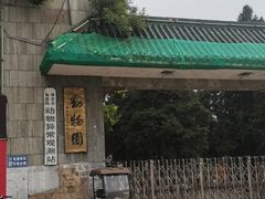 -保定市动物园
