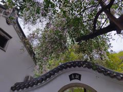 -深圳国际园林花卉博览园