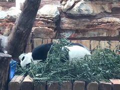 -石家庄市动物园