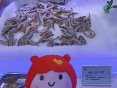 海白虾-澜悦港海鲜体验主题餐厅