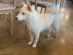 -幸福蓝海国际影城(烟台大悦城IMAX店)