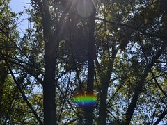 -云岫谷游猎自然风景区