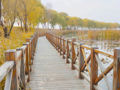 -野鸭湖国家湿地公园