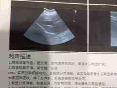 -宠爱国际动物医院·疑难骨科·心肾内科·皮肤科(太阳宫店)