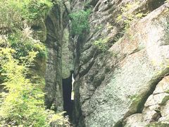 -汤旺河林海奇石景区