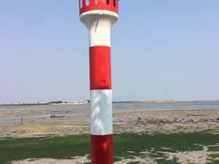 -北海金海湾红树林生态旅游区