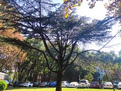 -华中师范大学-图书馆