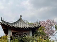 -海珠湖公园