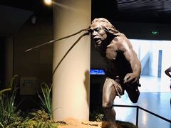 -北京周口店北京人遗址博物馆
