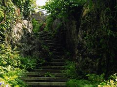-山王坪喀斯特国家生态公园
