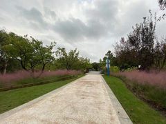 -昆山城市生态森林公园