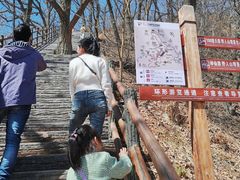 -栾川竹海野生动物园